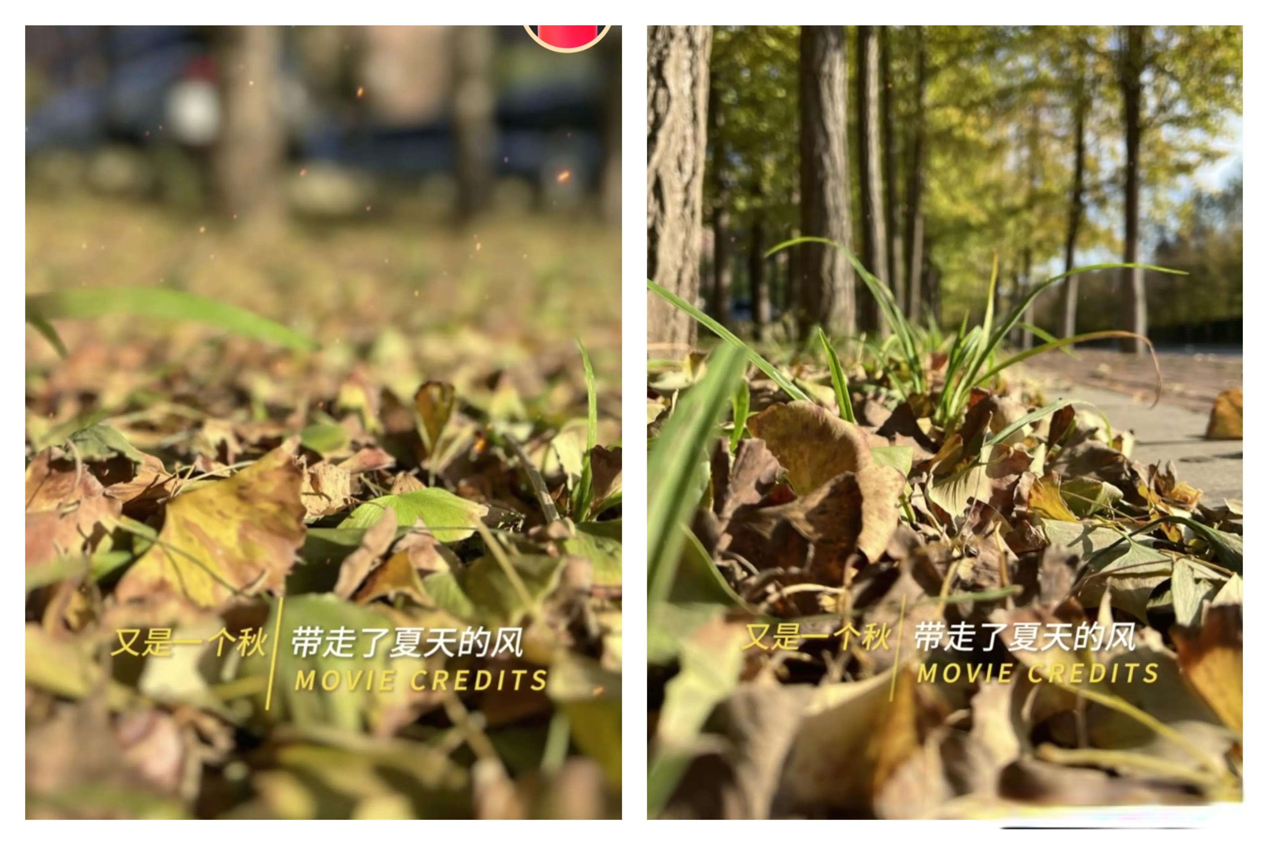 只不过现在, 是一个快乐