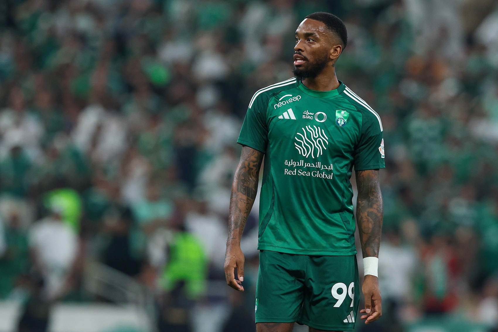 的评价, 这会对税务, 对他在沙特 的评价, 这会对税务, 对他在沙特